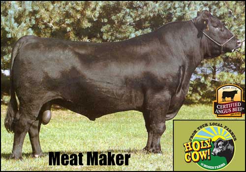 MeatMaker